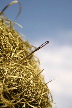 Image showing a needle in a haystack